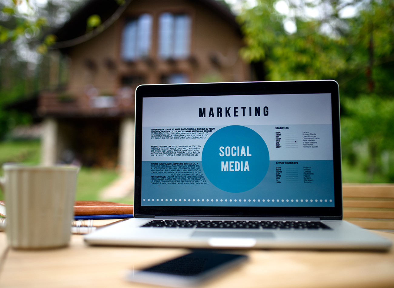 Social Media Marketing (SMM)